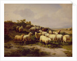 Sheep on the Coast, 1878 by Eugene Joseph Verboeckhoven