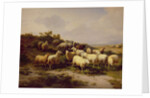 Sheep on the Coast, 1878 by Eugene Joseph Verboeckhoven