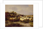 Sheep on the Coast, 1878 by Eugene Joseph Verboeckhoven