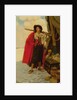 The Buccaneer Was a Picturesque Fellow by Howard Pyle