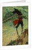 The Flying Dutchman, published in Collier's Weekly, December 8, 1900 by Howard Pyle