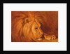 Lion at Rest by Abbott Handerson Thayer