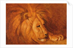 Lion at Rest by Abbott Handerson Thayer