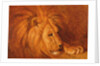 Lion at Rest by Abbott Handerson Thayer