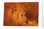 Lion at Rest by Abbott Handerson Thayer