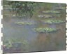 Waterlilies, 1903 by Claude Monet