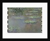 Waterlilies, 1903 by Claude Monet
