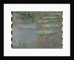 Waterlilies, 1903 by Claude Monet