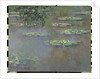 Waterlilies, 1903 by Claude Monet
