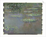 Waterlilies, 1903 by Claude Monet