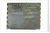 Waterlilies, 1903 by Claude Monet