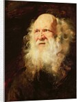 Study of Heads of an Old Man, c.1612 by Peter Paul Rubens