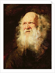 Study of Heads of an Old Man, c.1612 by Peter Paul Rubens