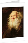 Study of Heads of an Old Man, c.1612 by Peter Paul Rubens