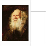 Study of Heads of an Old Man, c.1612 by Peter Paul Rubens