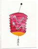 Chinese Lantern, 2107 by Daisy de Villeneuve