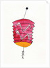 Chinese Lantern, 2107 by Daisy de Villeneuve