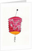 Chinese Lantern, 2107 by Daisy de Villeneuve