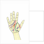 Palm Hand by Daisy de Villeneuve