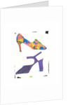2 Shoes by Daisy de Villeneuve