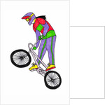 BMX, 2012 by Daisy de Villeneuve