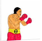 Boxer by Daisy de Villeneuve