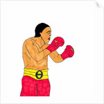 Boxer by Daisy de Villeneuve