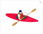 Canoe by Daisy de Villeneuve