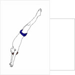 Diver, 2012 by Daisy de Villeneuve