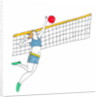 Volleyball by Daisy de Villeneuve