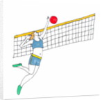 Volleyball by Daisy de Villeneuve