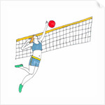Volleyball by Daisy de Villeneuve