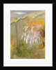 White Whisteria, 2001 by Jane Deakin
