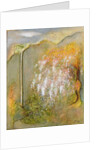 White Whisteria, 2001 by Jane Deakin