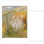 White Whisteria, 2001 by Jane Deakin