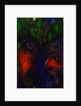Irises, 2005 by Jane Deakin