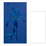 Jesus Meets his Mother - Station 4, 2015 by Penny Warden