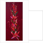 Flower, 2011 by Penny Warden