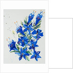 Flower, 2007 by Penny Warden