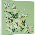 Flower, 2008 by Penny Warden