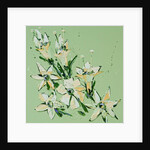 Flower, 2008 by Penny Warden