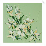 Flower, 2008 by Penny Warden