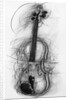 Violin, 2005 by Penny Warden