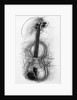 Violin, 2005 by Penny Warden