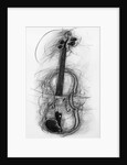 Violin, 2005 by Penny Warden