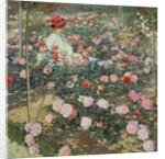 Mrs Ojetti in the rose garden, 1907 by Oscar Ghiglia