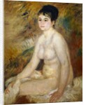 Après le bain, 1876 by Pierre Auguste Renoir
