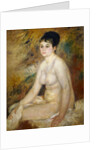 Après le bain, 1876 by Pierre Auguste Renoir