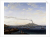 The return of the fleet from Algeria to the Bay of Naples, 1787 by Jacob-Philippe Hackert