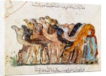 Ms Ar 5847 f.101, Herd of camels by Yahya ibn Mahmud Al-Wasiti